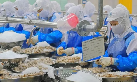Những cú bẻ lái lợi nhuận của doanh nghiệp thủy sản trong quý II/2026