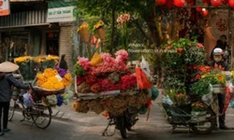 Đi tìm thứ mỹ học chữa lành khắp nơi, nữ nhiếp ảnh gia người Nga lại tìm thấy câu trả lời ngay trên phố phường Hà Nội
