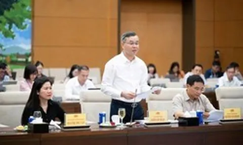 Đề xuất giảm 30% thuế cho cá nhân, hộ kinh doanh và doanh nghiệp doanh thu đến 10 tỷ đồng