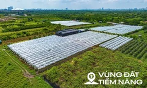 Toàn cảnh khu đất ven sông Hồng, nơi có thể xây tháp đôi nhiều tầng nhất thế giới, diện tích sàn gấp hơn 2 lần Burj Khalifa