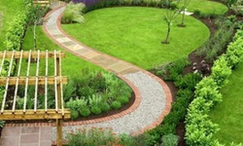 5 loại cây dễ chăm sóc, thích hợp trồng lối đi sân vườn