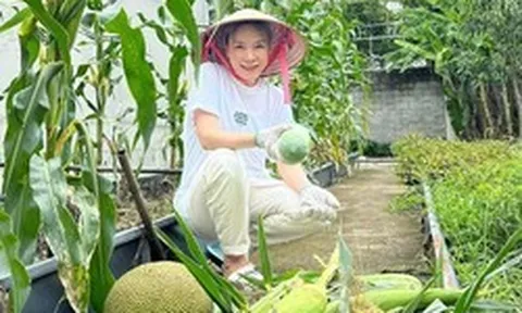 Vườn nhà nghìn mét vuông của Mỹ Tâm