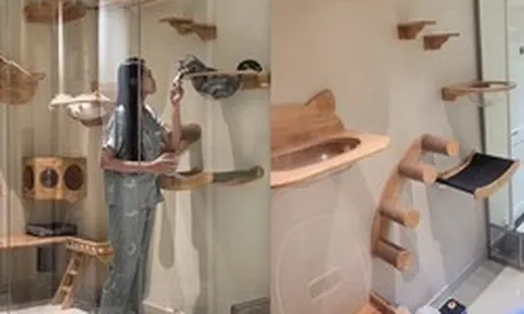 Vợ Anh Đức xây “biệt thự cho mèo”: Làm bằng kính cường lực, có hầm chui thông ra ban công