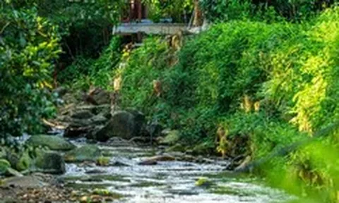 Mê mẩn sắc thu trên non thiêng Yên Tử