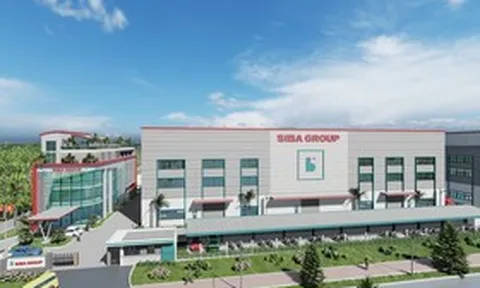 Siba Group phát hành 2 triệu cổ phiếu ESOP, loạt nhân sự cấp cao gia tăng sở hữu