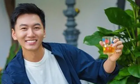 Thu nhập của Khoai Lang Thang