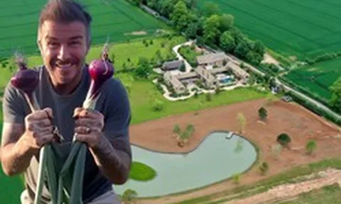 Toàn cảnh khu đất 100.000m2 là trang trại nuôi gà của David Beckham