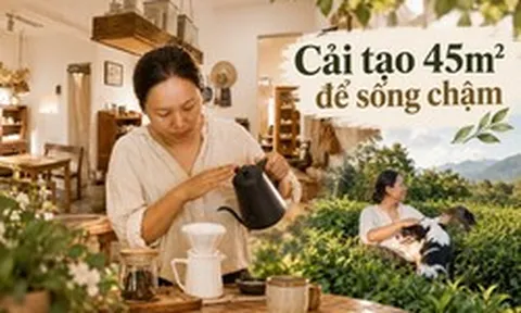 Người phụ nữ 37 tuổi cải tạo căn hộ 45m² thành nơi ai cũng muốn ghé: Không điều hòa, ít dùng điện thoại, đồ cũ cũng thành đẹp
