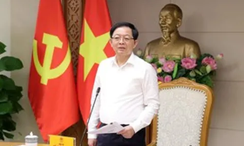 Phó Thủ tướng yêu cầu nghiên cứu thuế chống đầu cơ và xử lý tình trạng đất bỏ hoang