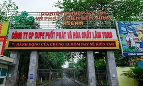 Gần 113 tỷ đồng sắp "chảy" về cổ đông của Supe Lâm Thao