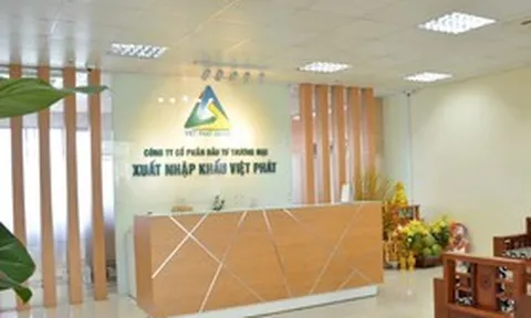 Cổ phiếu VPG của Xuất nhập khẩu Việt Phát bị chuyển sang diện kiểm soát