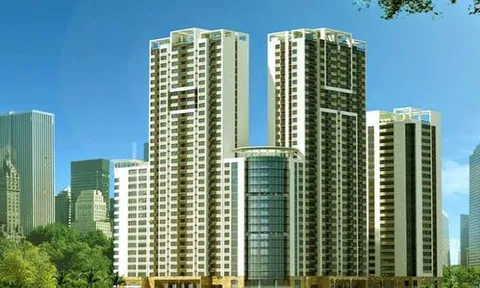 TLD sắp phát hành gần 3,9 triệu cổ phiếu trả cổ tức