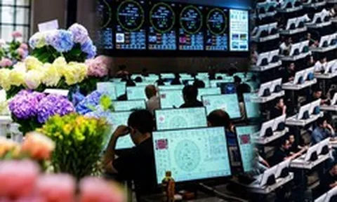 Kỳ lạ sàn giao dịch đấu giá hoa lớn nhất châu Á, 900 tay buôn không mặc cả, do dự nửa giây là ra về tay trắng