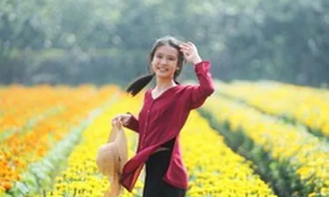 Phát hiện ngôi làng ở Việt Nam có hơn 2.000 giống hoa 'không chạm đất', mỗi lần chăm cây phải làm việc này