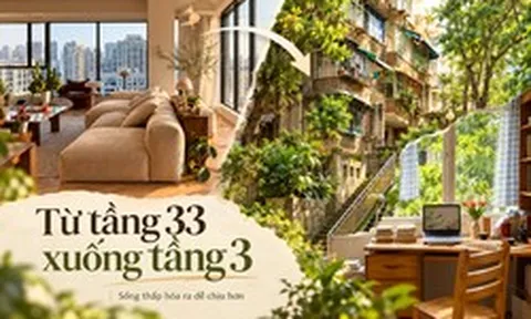 Từ tầng 33 có thang máy chuyển xuống tầng 3 không thang máy, tôi mới hiểu mình đã chọn nhà sai ở điểm nào