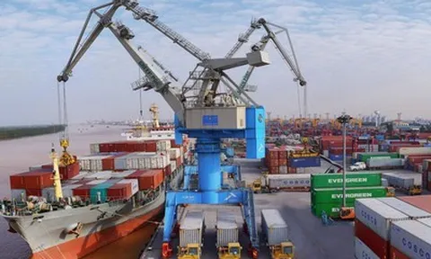 Viconship sắp phát hành gần 206 triệu cổ phiếu, đưa vốn điều lệ tăng gần gấp rưỡi