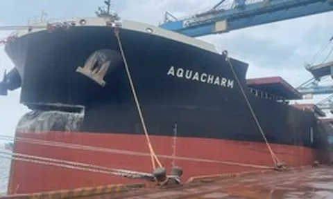 Tàu dài 300m chở 171.000 tấn quặng đâm hỏng cảng của tỷ phú Trần Đình Long: Hòa Phát yêu cầu bắt giữ, 12 hạng mục bị ảnh hưởng, bảo hiểm vào cuộc