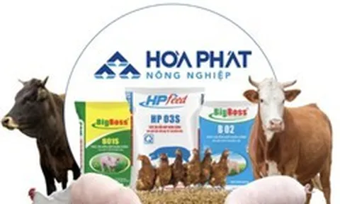 Công ty bán thịt heo, trứng gà của tỷ phú Trần Đình Long lãi 948 tỷ đồng sau 9 tháng, hoàn thành 94% kế hoạch năm