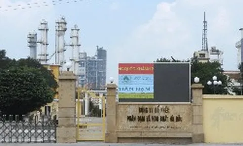 Đạm Hà Bắc (DHB) lãi gần 989 tỷ đồng sau 9 tháng, thu nhập lãnh đạo ra sao?