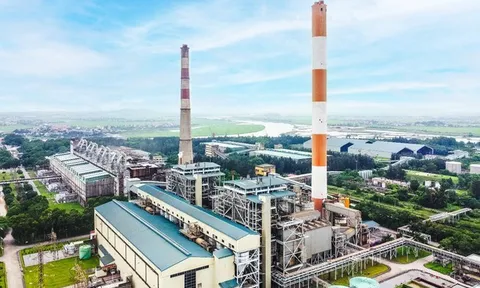 Lợi nhuận 9 tháng tăng hơn 200%, Nhiệt điện Phả Lại chi hơn 144 tỷ đồng trả cổ tức