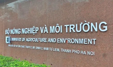 Phát hiện nhiều vi phạm tại các hồ sơ cấp phép khoáng sản của Bộ NN&MT