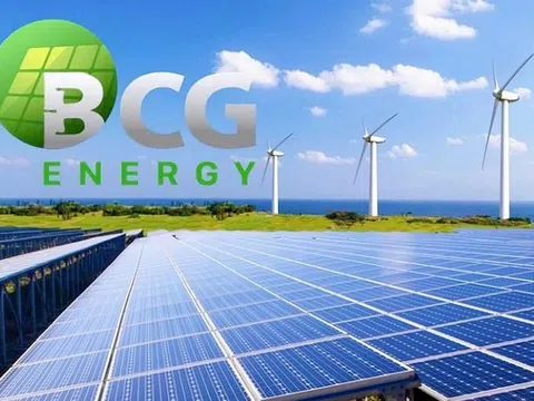 Doanh thu năm 2024 của BCG Energy đạt 1.278 tỷ đồng