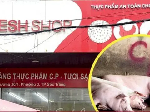 Chủ tịch Sóc Trăng ra công văn hỏa tốc vụ Công ty C.P. bị tố bán thịt heo bẩn