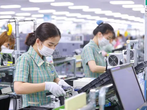 Dấu chấm cho chuỗi ngày ảm đạm: Lần đầu tiên trong năm, thị trường đón nhiều doanh nghiệp mới hơn số rời đi