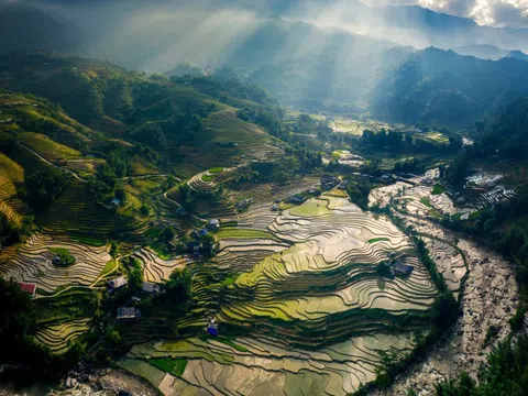Sense Vietnam by Lexus - đánh thức giác quan của sự sống