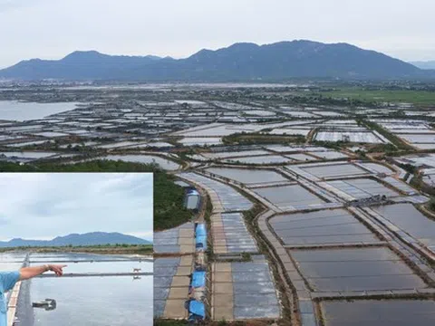 Thu hồi đất giá thấp để doanh nghiệp làm khu công nghiệp, diêm dân khiếu nại