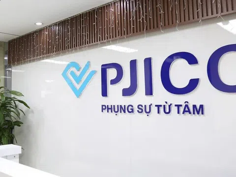 PJICO có tân Tổng Giám đốc