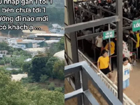 Nỗi niềm của chủ quán cafe thú cưng ở Đà Lạt: Làm mô hình giống hệt, "bên thu nhập gần 1 tỷ/ngày, mình chưa đến 1 triệu"?