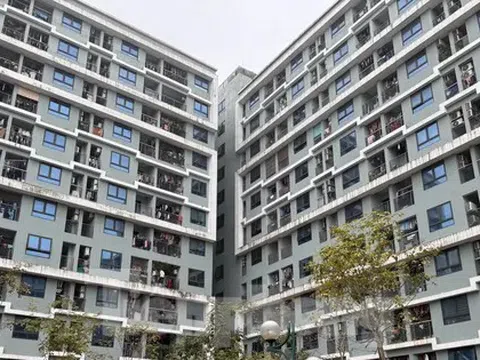Doanh nghiệp Nhà nước nên hướng vào làm nhà ở giá rẻ