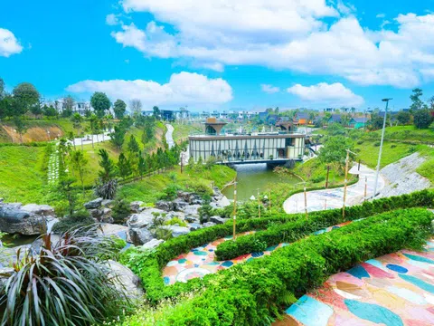 Tỉnh giấc giữa đồi thông, Legacy Hill và hành trình tìm về giá trị sống nguyên bản