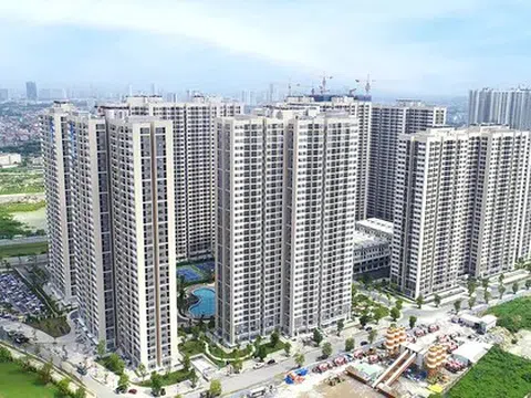 Chung cư quay đầu tăng giá, đất nền chững lại sau tăng 'nóng'