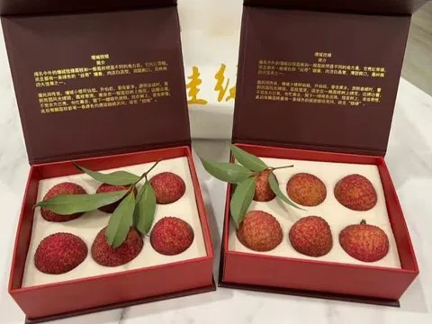 Có gì trong quả vải thiều giá lên tới gần 2 tỷ đồng, người có tiền cũng chưa chắc mua được?