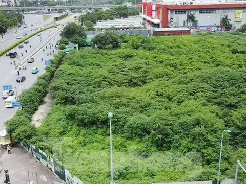 Dự án tháp tài chính gần 4.000 tỷ đồng ở Hà Nội 'hoá rừng' sau 20 năm ôm đất lãng phí
