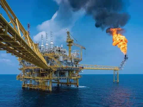 Dự báo ngành dầu khí Q2/2025: Cả ngành báo lãi lớn, vì sao hai "ông lớn" Petrolimex và BSR lại sụt giảm tới 35% và 91%?