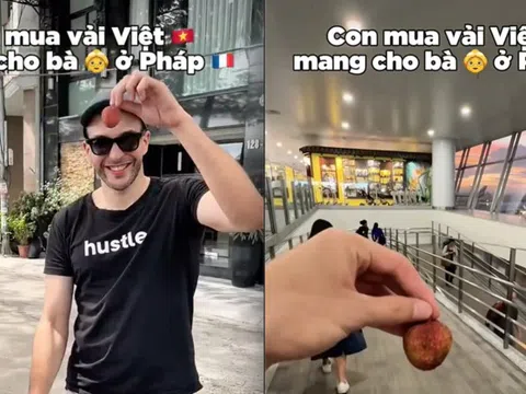 Khách Tây mang quả vải "to nhất Việt Nam" sang Pháp và cái kết rớt nước mắt