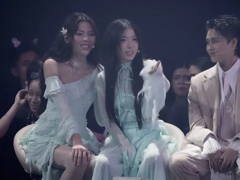 Trấn Thành công bố “cây hút fan” của Em Xinh bị loại khi Live Stage 2 chưa diễn, netizen tuyên bố nghỉ xem!