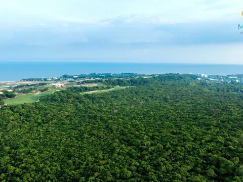 Hồ Tràm: Thủ phủ du lịch mới của TP.HCM và nhân tố mới Maia Resort Ho Tram