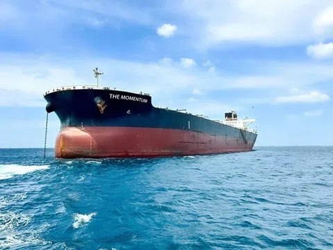 Tỷ phú Trần Đình Long khai thác tàu hàng rời lớn nhất từ trước tới nay, tải trọng 110.000 DWT