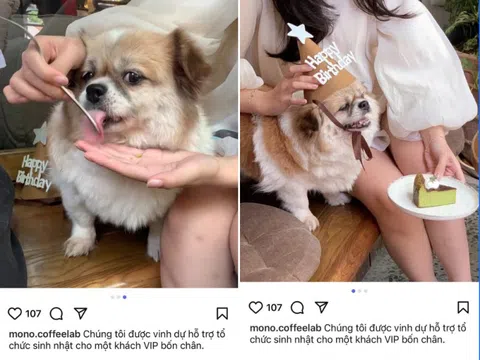 Xôn xao quán cà phê nổi tiếng ở Hà Nội bị tố cho thú cưng dùng chung dụng cụ với khách, phía quán nói gì?