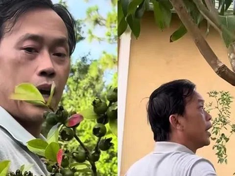 Hoài Linh thăm vườn biệt thự vài trăm m2 tại Mỹ, em trai nói: "Khác gì ở Việt Nam đâu"