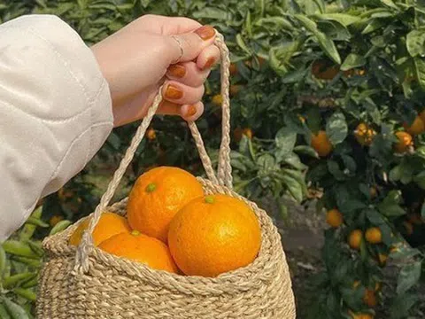 5 cách tiết kiệm tiền của mẹ, con cái cho là lỗi thời nhưng cả đời không khá lên nổi vì "cãi lời"