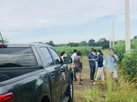 Đất nền tỉnh bất ngờ tăng nhiệt