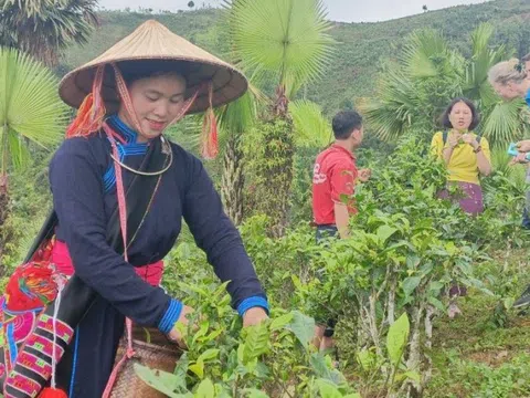 Người phụ nữ Tày 6 năm giữ ruộng làm du lịch bỗng nổi tiếng nhờ show thực tế liên tục lọt top trending, nhận bằng khen của tỉnh Lào Cai