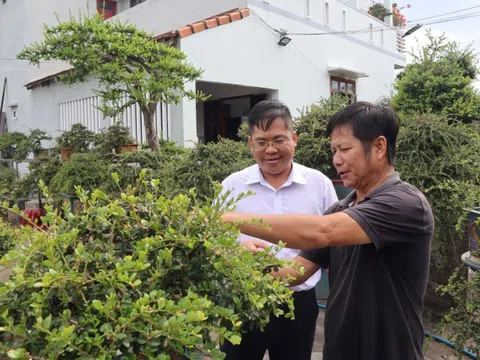 Gặp ông chủ khu vườn tiền tỷ, bán 1 cây xây nhà lầu ở Đắk Lắk