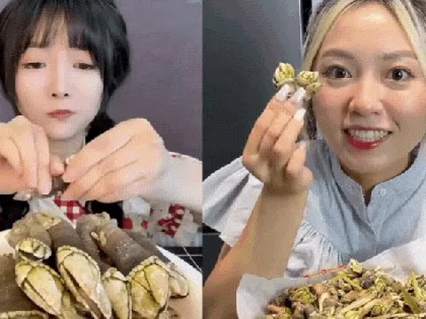 Loại ốc mang cái tên "rợn người" nhưng lại là "tinh hoa ẩm thực" khiến giới sành ăn mê mẩn: Khó bắt - giá đắt, ở Việt Nam chỉ vùng biển này mới có
