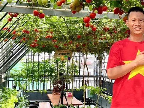 Gửi rau thay lời cảm ơn: Ông bố Hà Nội biến sân thượng thành vườn, tặng nông sản cho người ủng hộ thiện nguyện